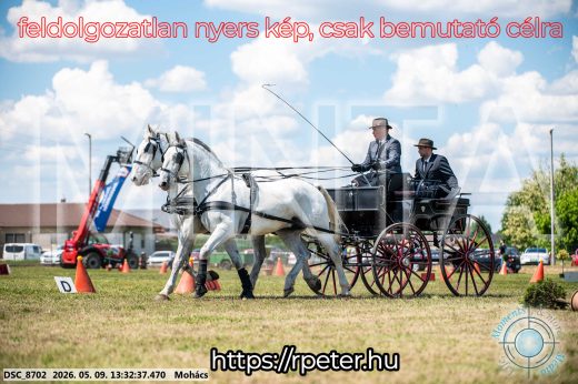 Mintakép 20260509-587