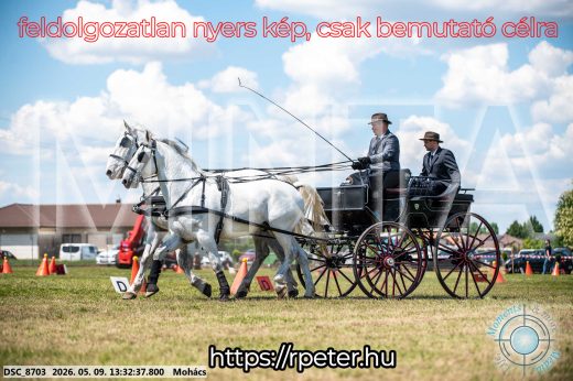 Mintakép 20260509-588