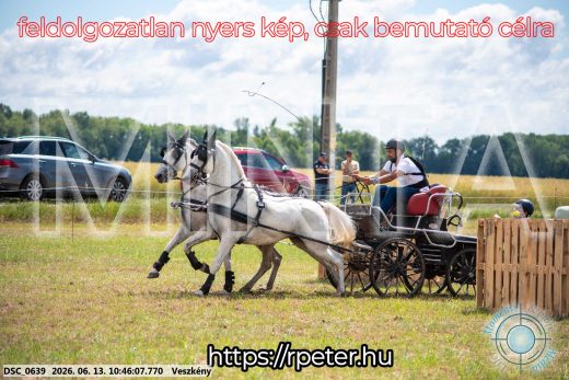 Mintakép 20260613-799