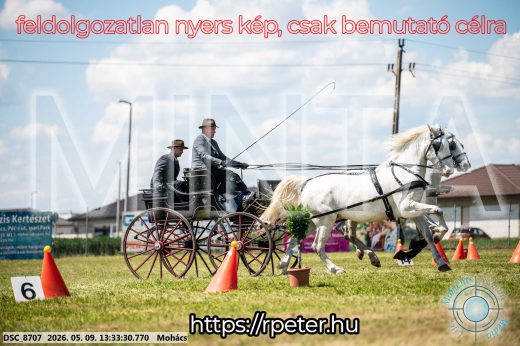 Mintakép 20260509-592
