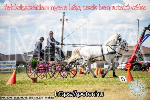 Mintakép 20260509-593