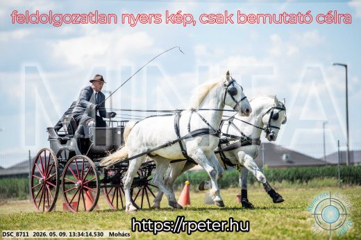 Mintakép 20260509-595