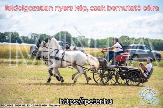 Mintakép 20260613-800