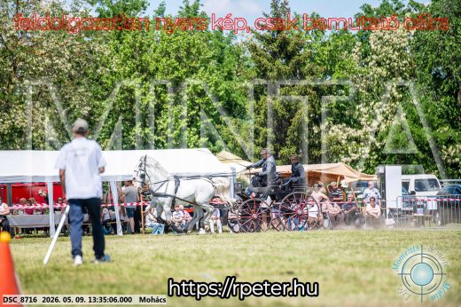 Mintakép 20260509-599