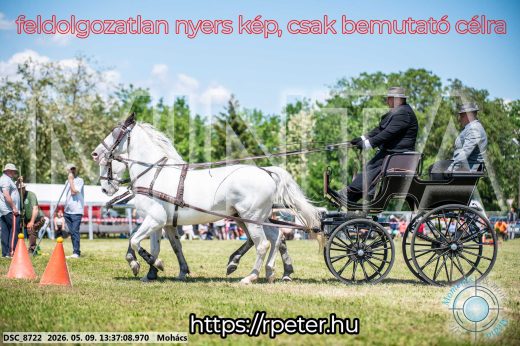 Mintakép 20260509-605