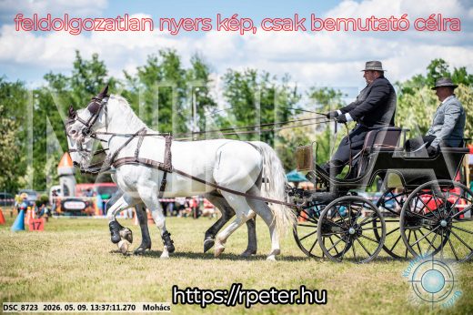 Mintakép 20260509-606