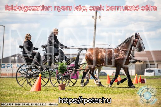 Mintakép 20260509-616