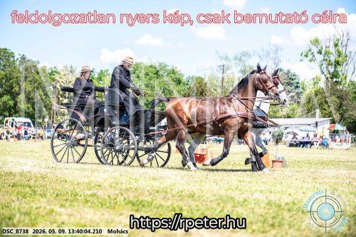 Mintakép 20260509-619