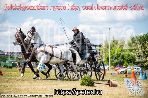 Mintakép 20260509-623