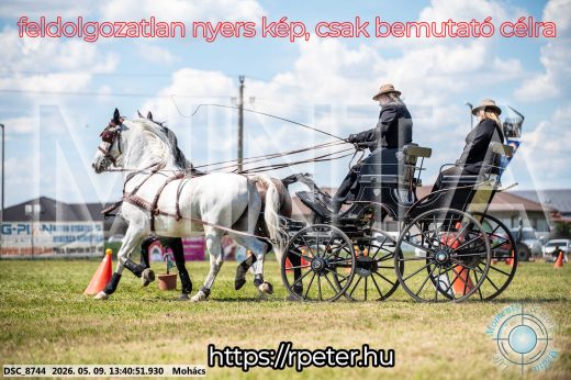 Mintakép 20260509-625