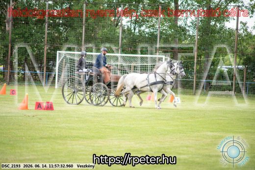 Mintakép 20260614-247