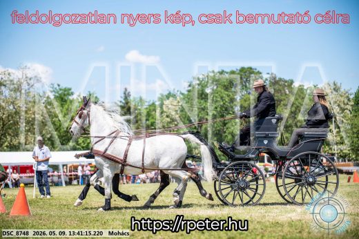 Mintakép 20260509-629