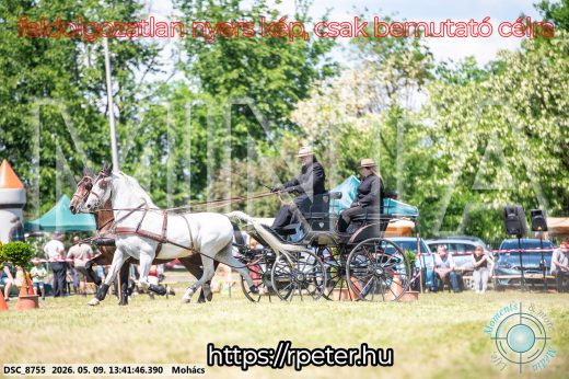 Mintakép 20260509-635