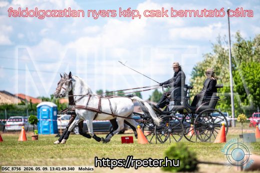 Mintakép 20260509-636