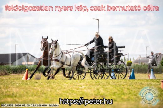 Mintakép 20260509-638