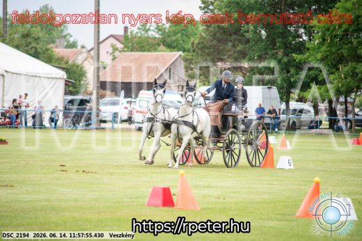 Mintakép 20260614-248