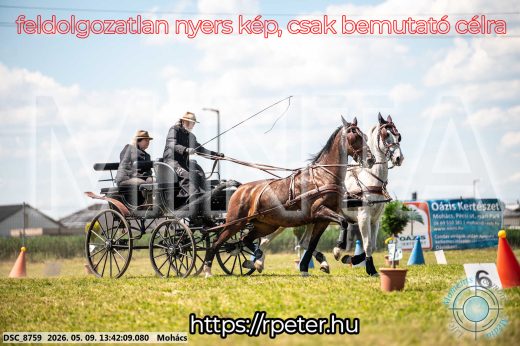 Mintakép 20260509-639