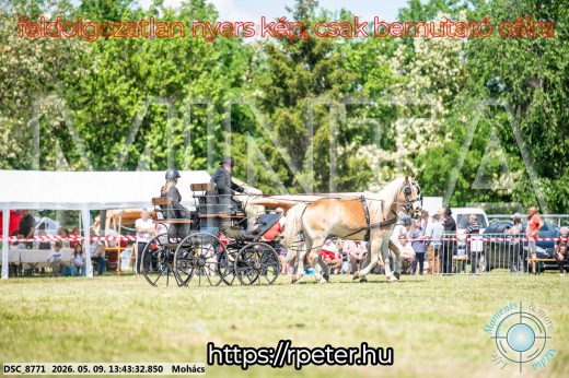 Mintakép 20260509-644