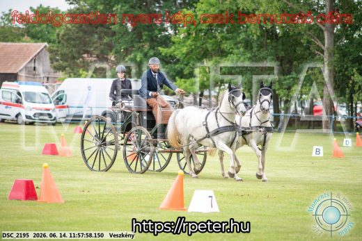 Mintakép 20260614-249