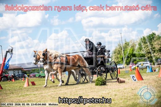 Mintakép 20260509-651
