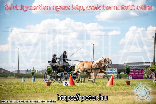 Mintakép 20260509-662