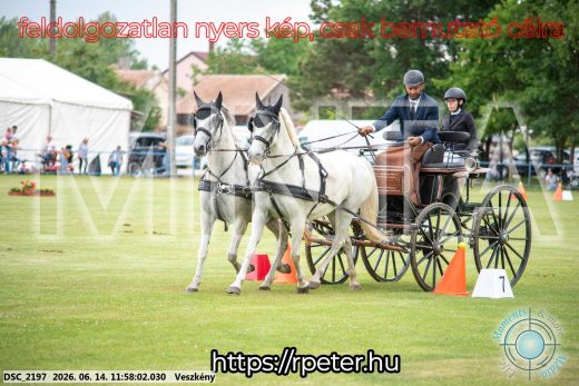 Mintakép 20260614-251