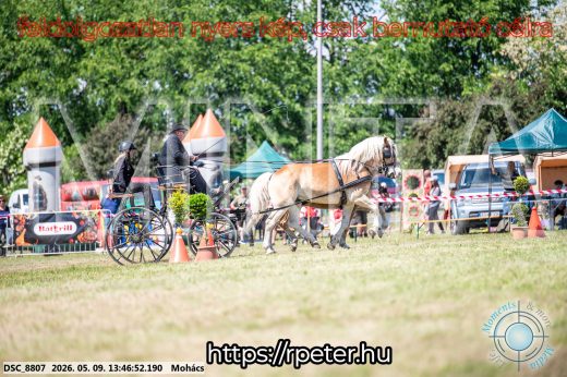 Mintakép 20260509-670