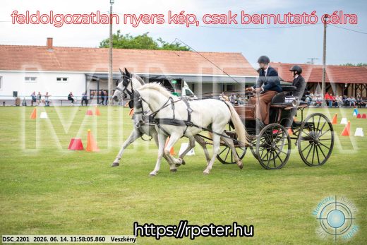 Mintakép 20260614-252