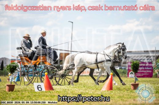 Mintakép 20260509-681
