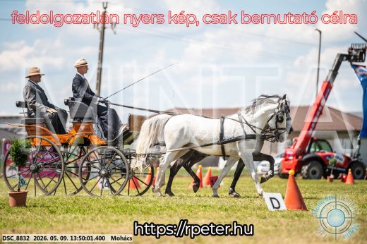 Mintakép 20260509-683
