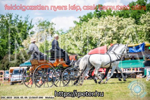 Mintakép 20260509-684