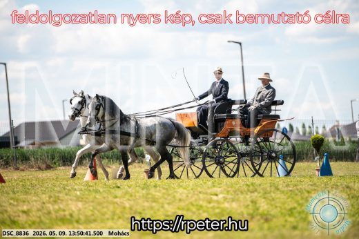 Mintakép 20260509-686