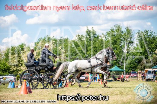Mintakép 20260509-693