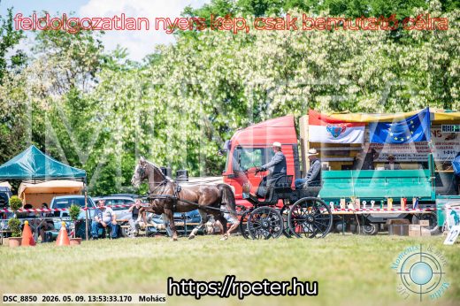 Mintakép 20260509-697