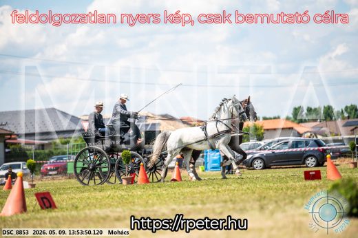 Mintakép 20260509-699