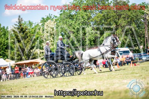 Mintakép 20260509-706