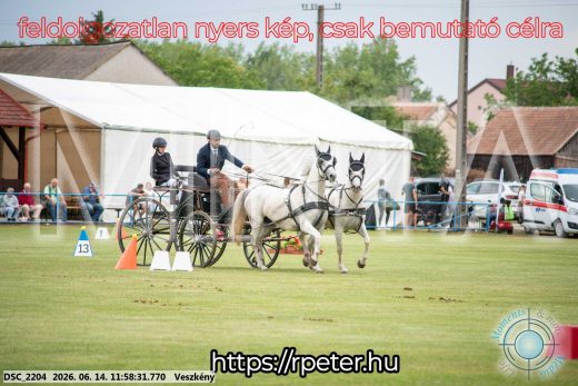Mintakép 20260614-255