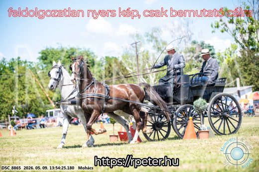 Mintakép 20260509-709