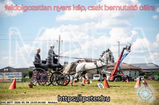 Mintakép 20260509-716