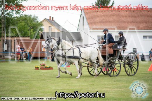 Mintakép 20260614-256