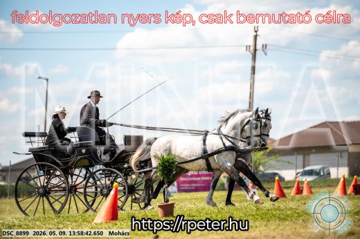 Mintakép 20260509-728