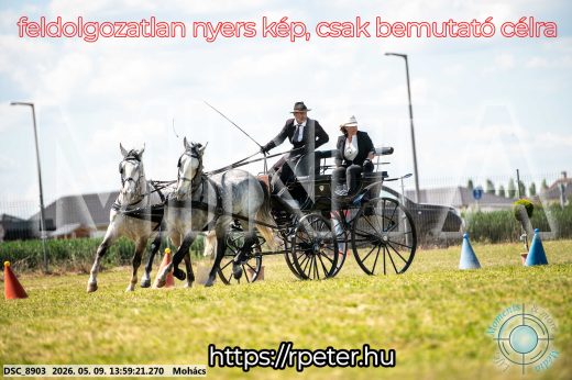 Mintakép 20260509-729