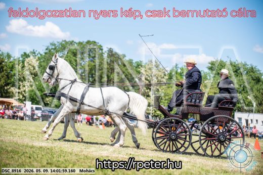 Mintakép 20260509-733