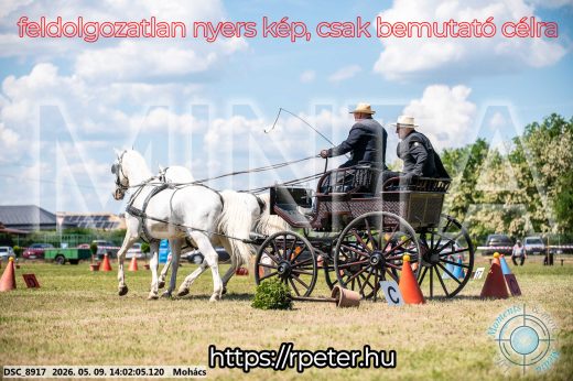 Mintakép 20260509-734