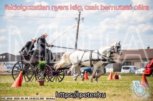 Mintakép 20260509-735