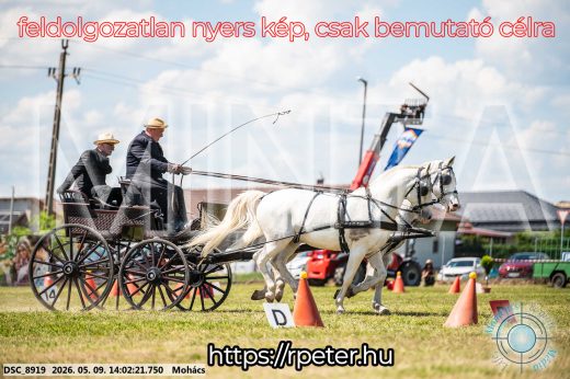 Mintakép 20260509-736