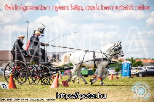 Mintakép 20260509-737