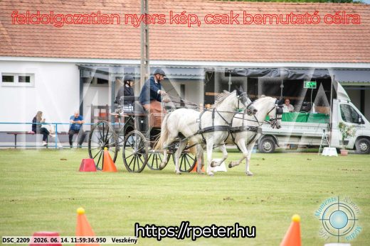 Mintakép 20260614-258
