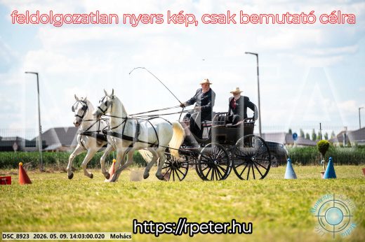 Mintakép 20260509-740