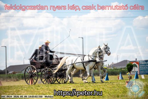 Mintakép 20260509-741